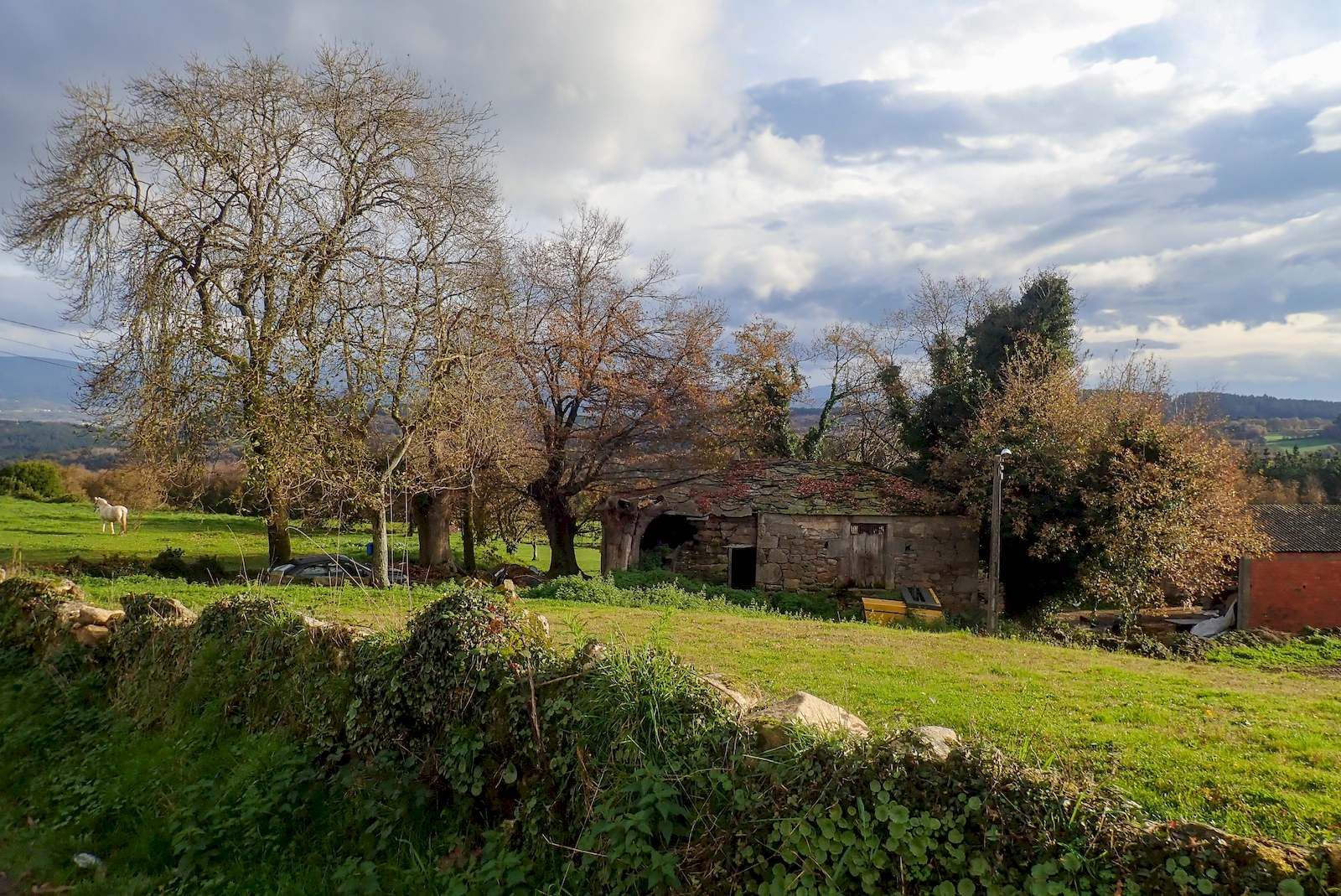 Meandros del río Malvellido. 
