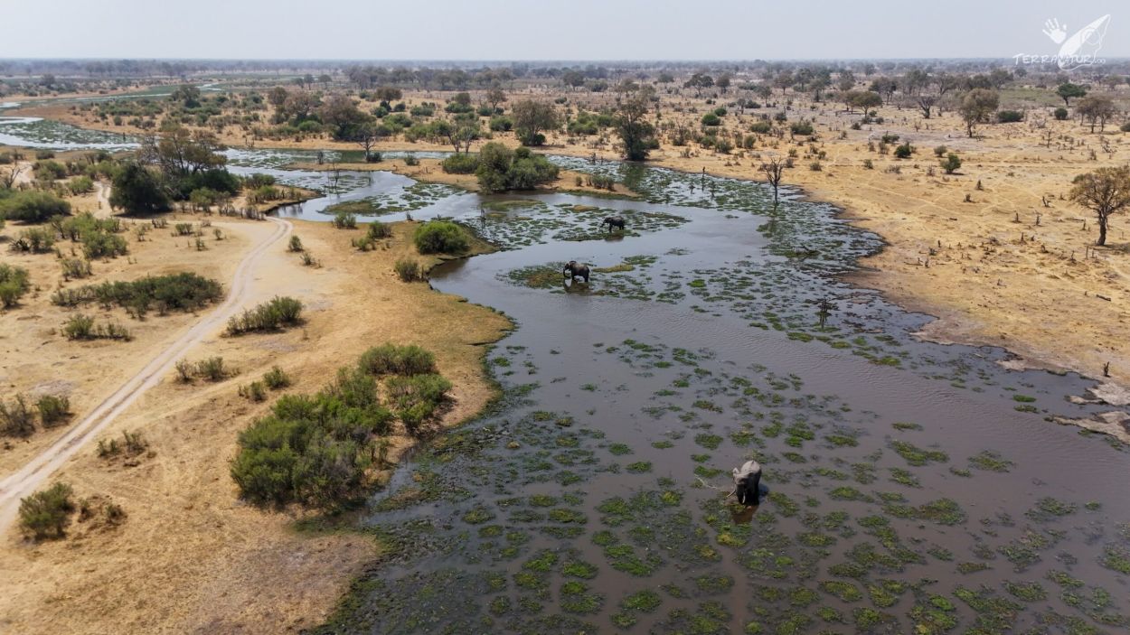 Río Kawai cerca del delta del Okabango