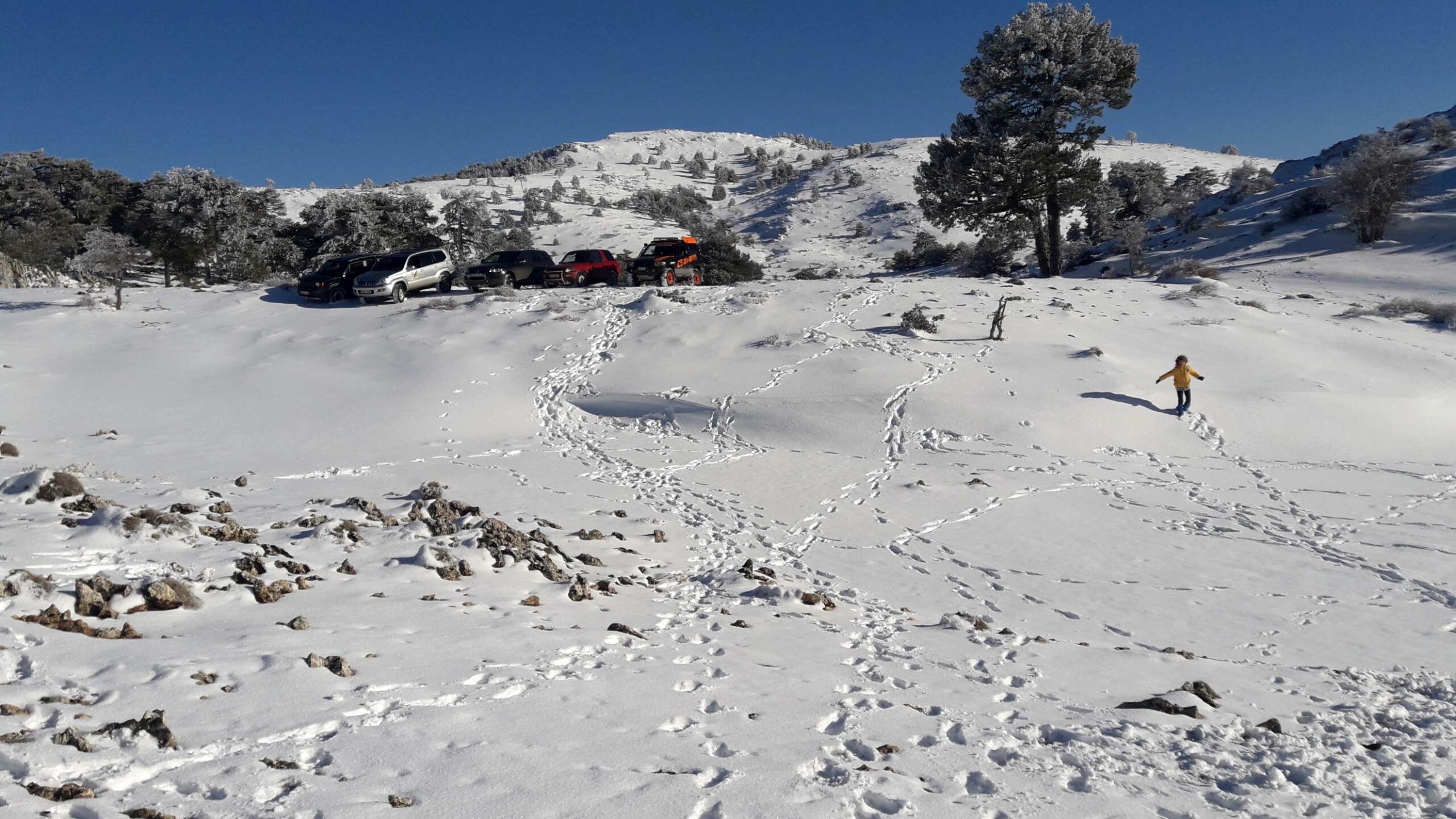 Meandros del río Malvellido. 