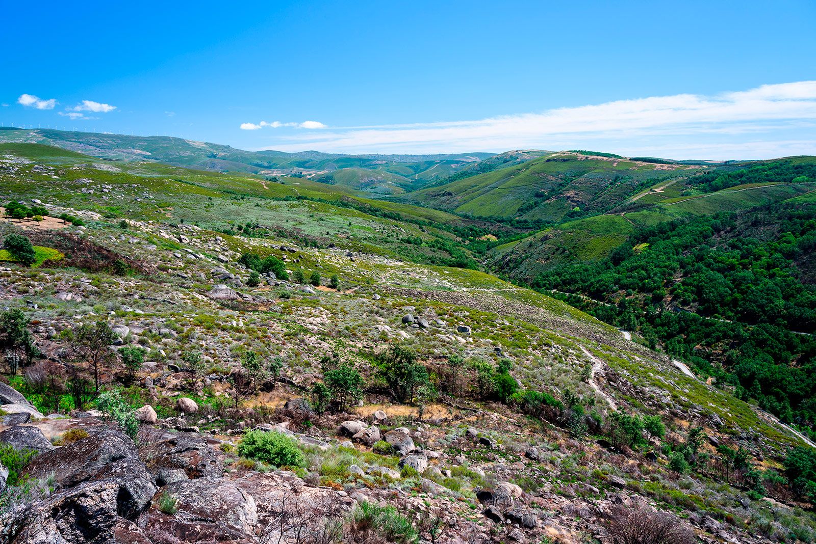 Parque Natural de Montesinho