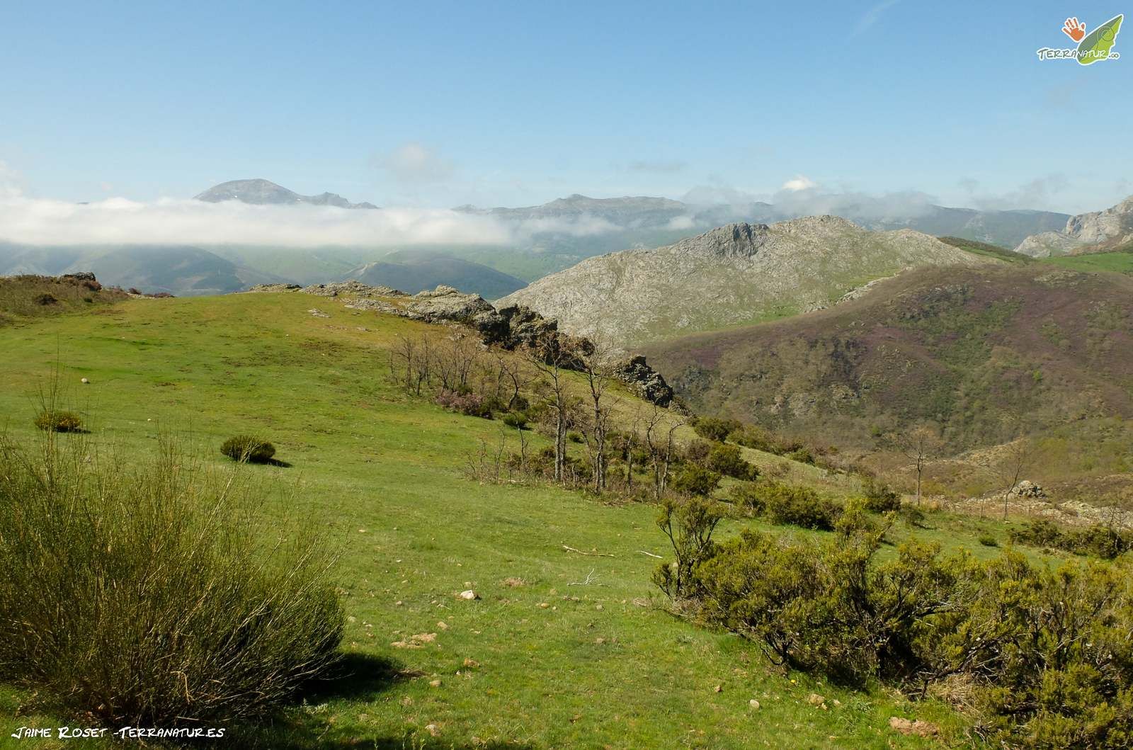 Paisaje en Fuentes Carrionas
