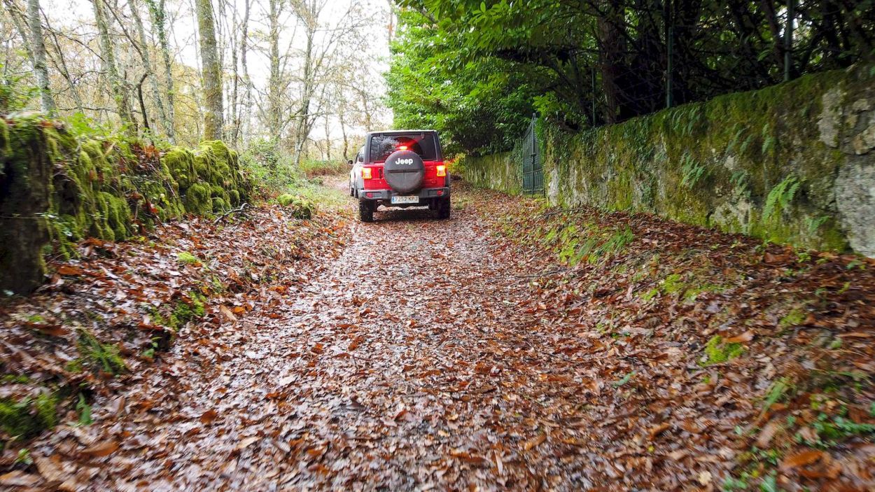 Caminos otoñales de Ancares