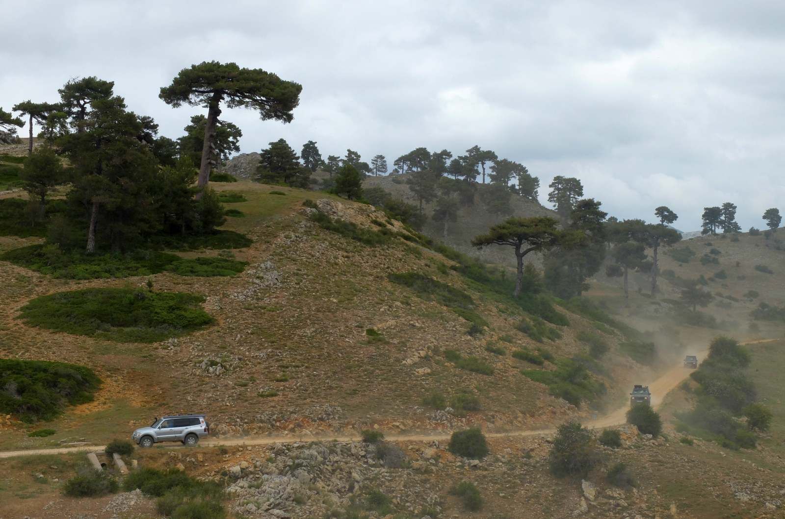 Meandros del río Malvellido. 