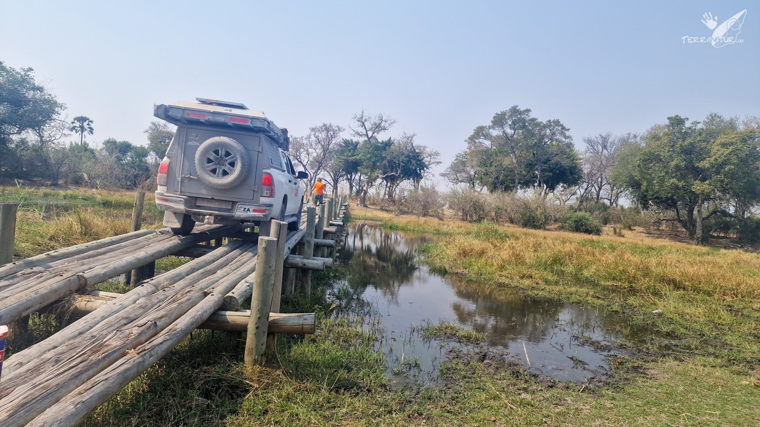 Moremi, delta del Okavango