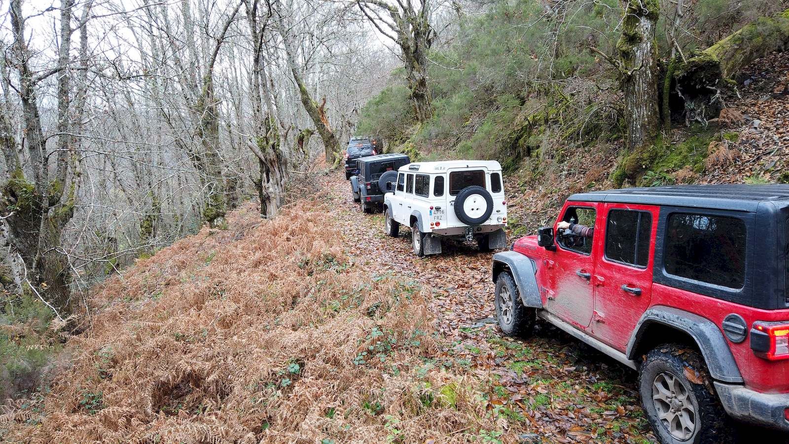 Descubriendo los Ancares