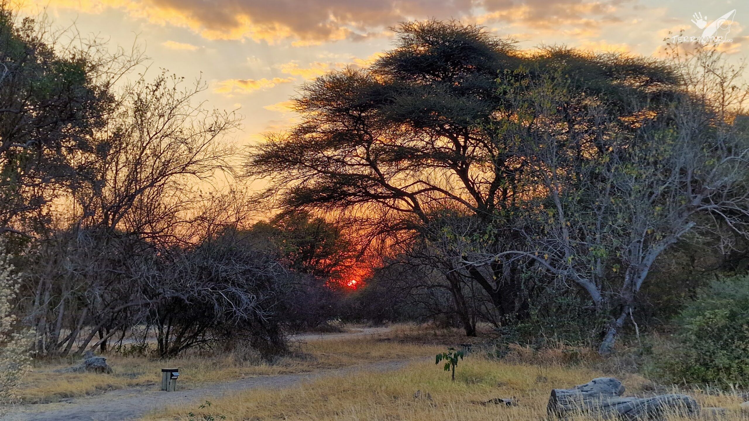 Paisajes de ensueño en Botswana