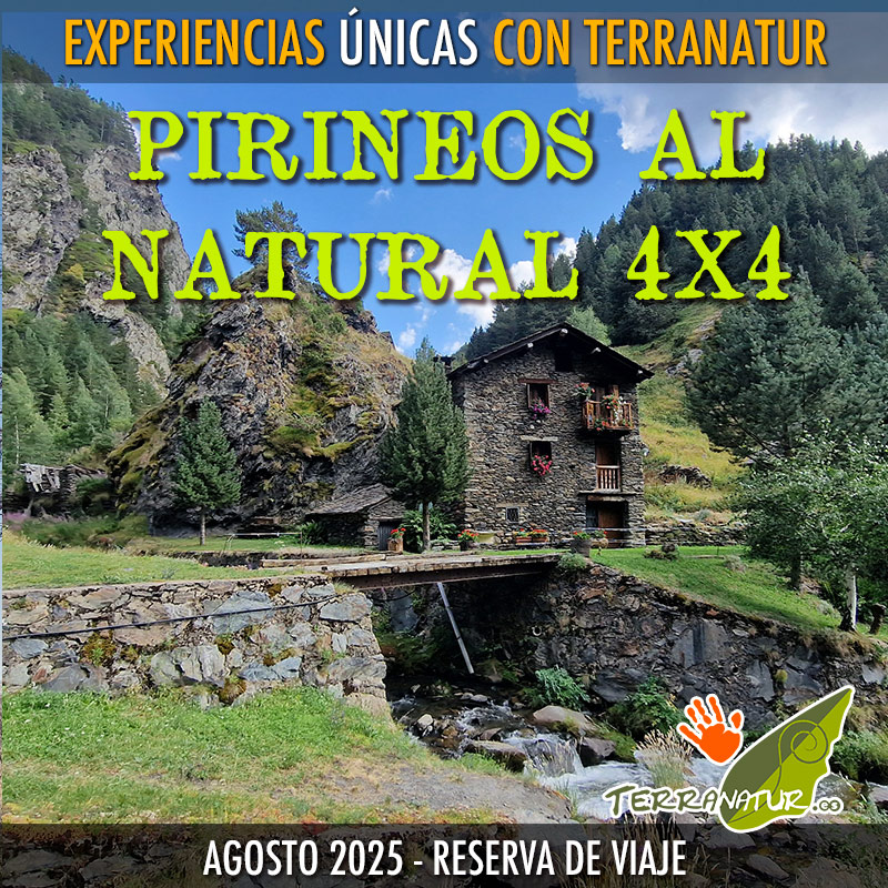 Reserva de viaje Pirineos al Natural 4x4