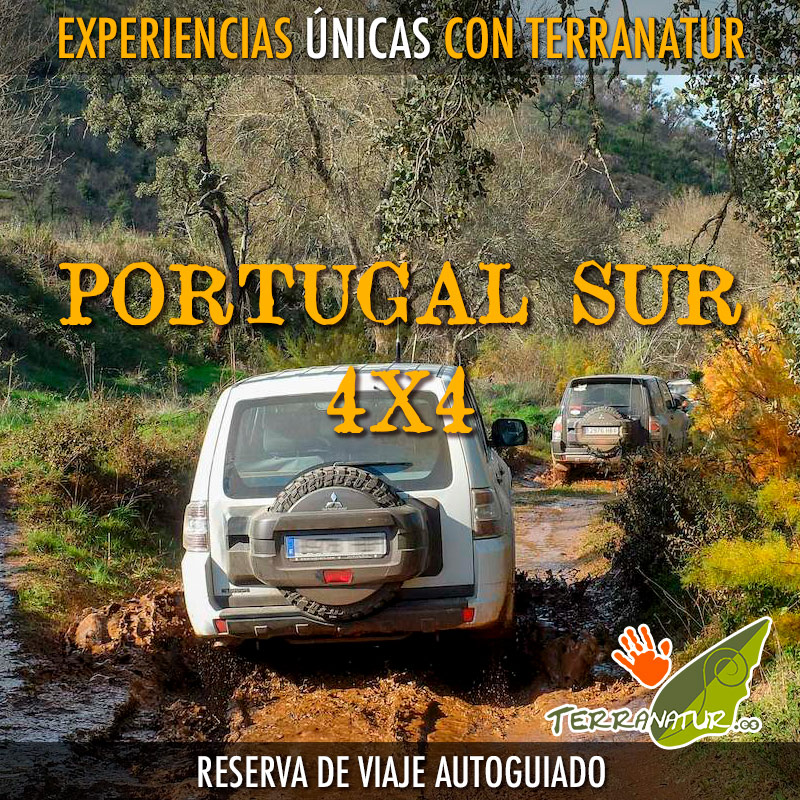 PORTUGAL SUR 4X4AUTOGUIADO