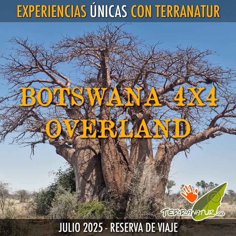 Reserva del Viaje Botswana Overland